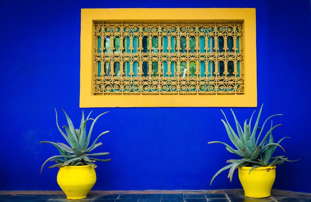 Klein blue paired with yellow