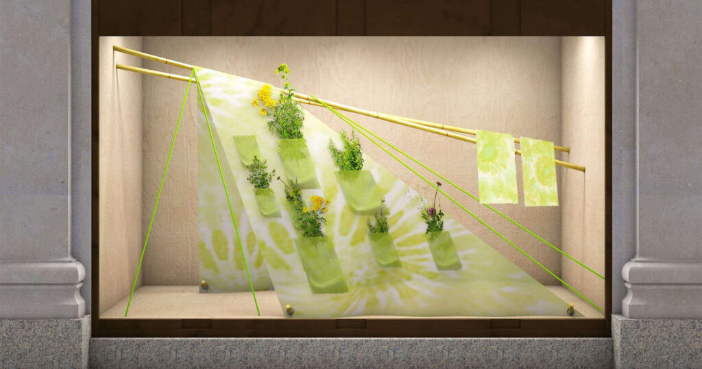 How Contrast Makes a Window Display More Attractive