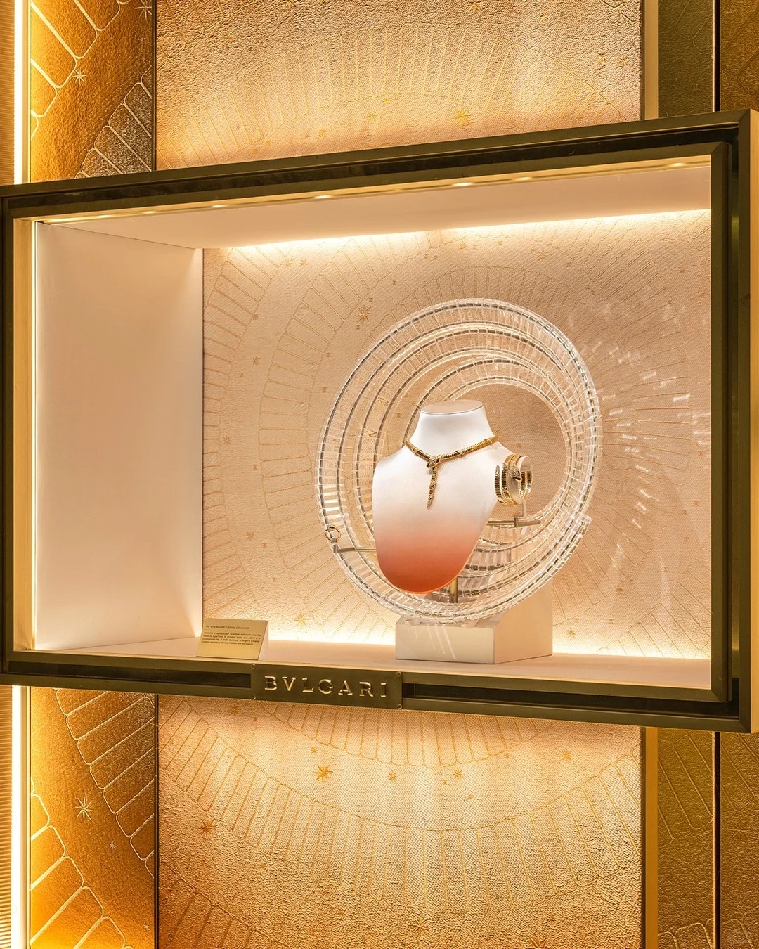 brass display case